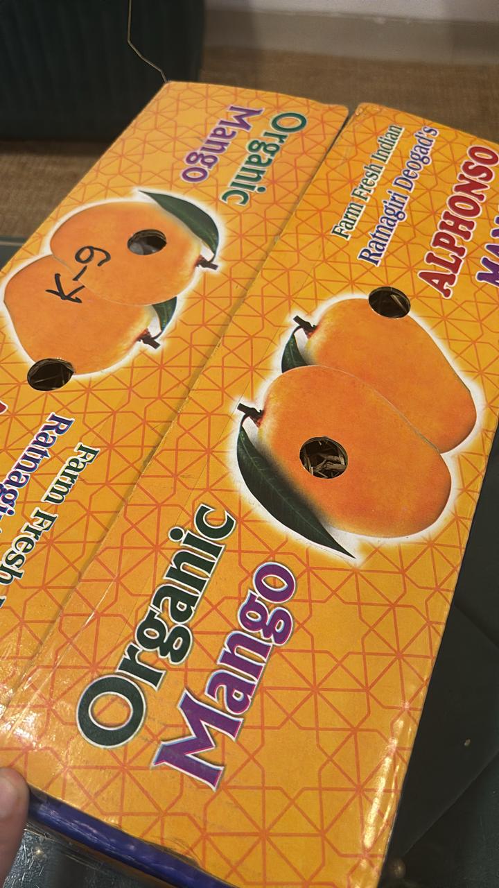 Two organic Alphonso mango boxes ready for delivery